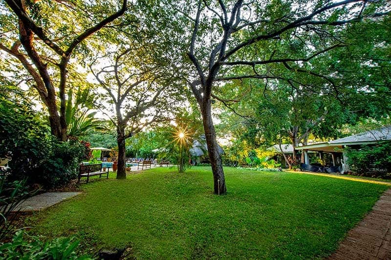 Bayete Guest Lodge Gardens
