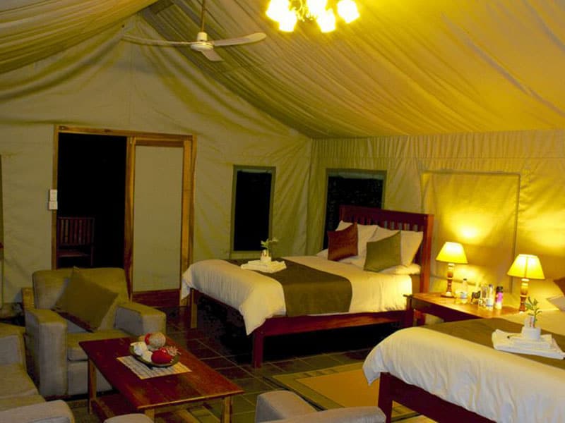 bomani tented lodge spurwing twin suite