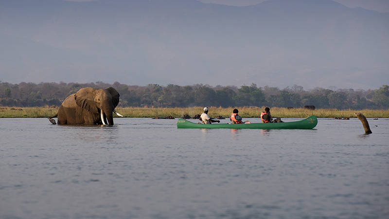 Mana Pools