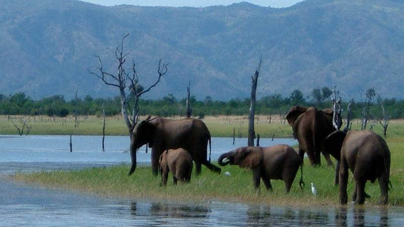 Matusadona National Park