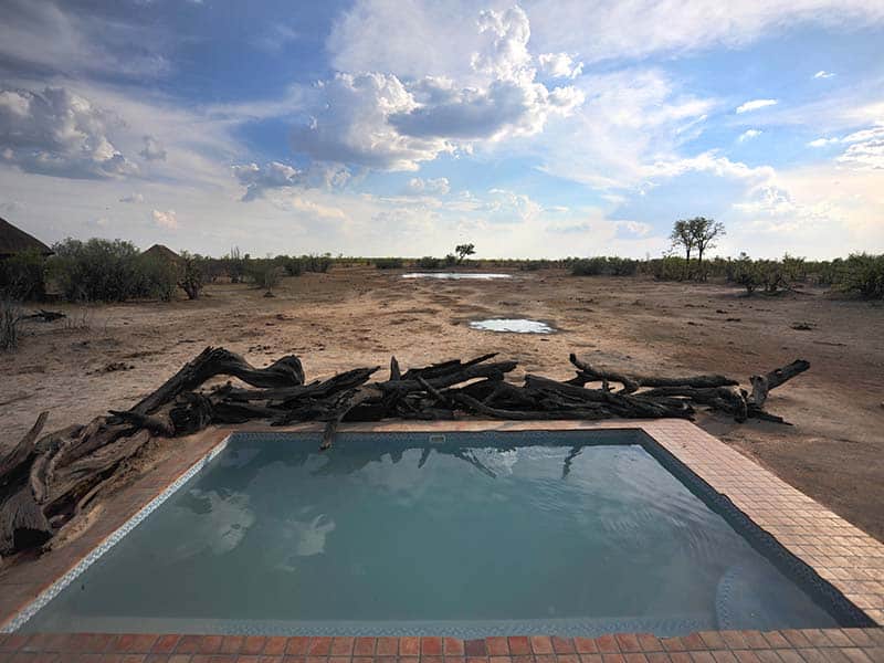 nehimba safari lodge swimming pool