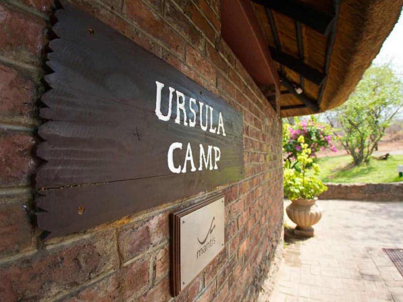 old ursula camp reception