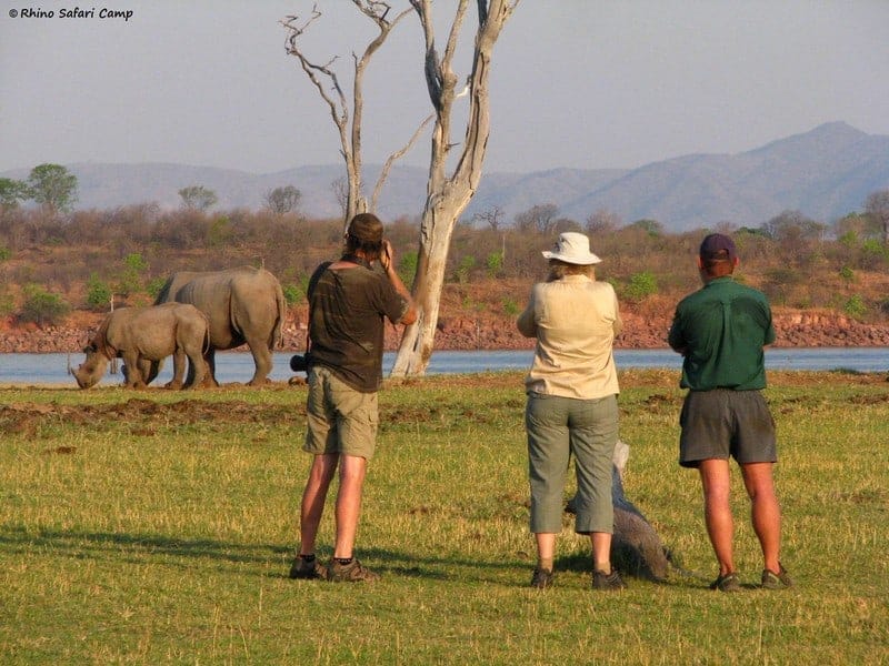 Rhino Island Safari Camp