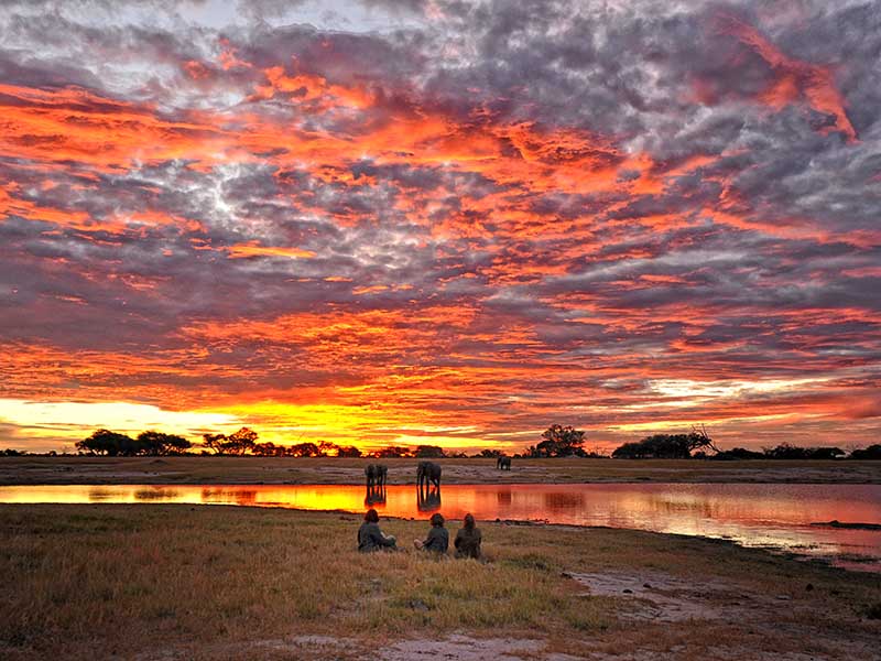 Somalisa Camp Sunset in Hwange National Park