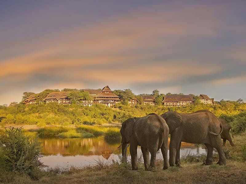 Victoria Falls Safari Lodge – 2 Nights
