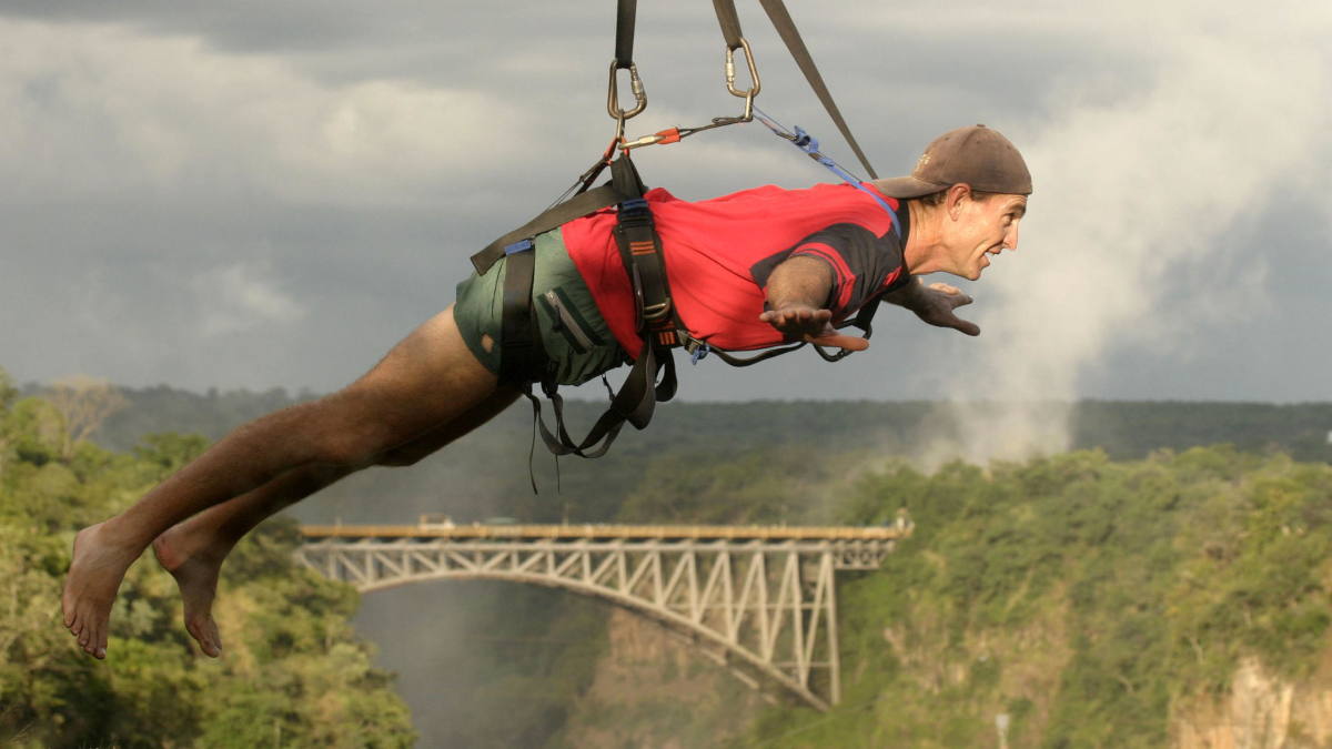 Flying Fox
