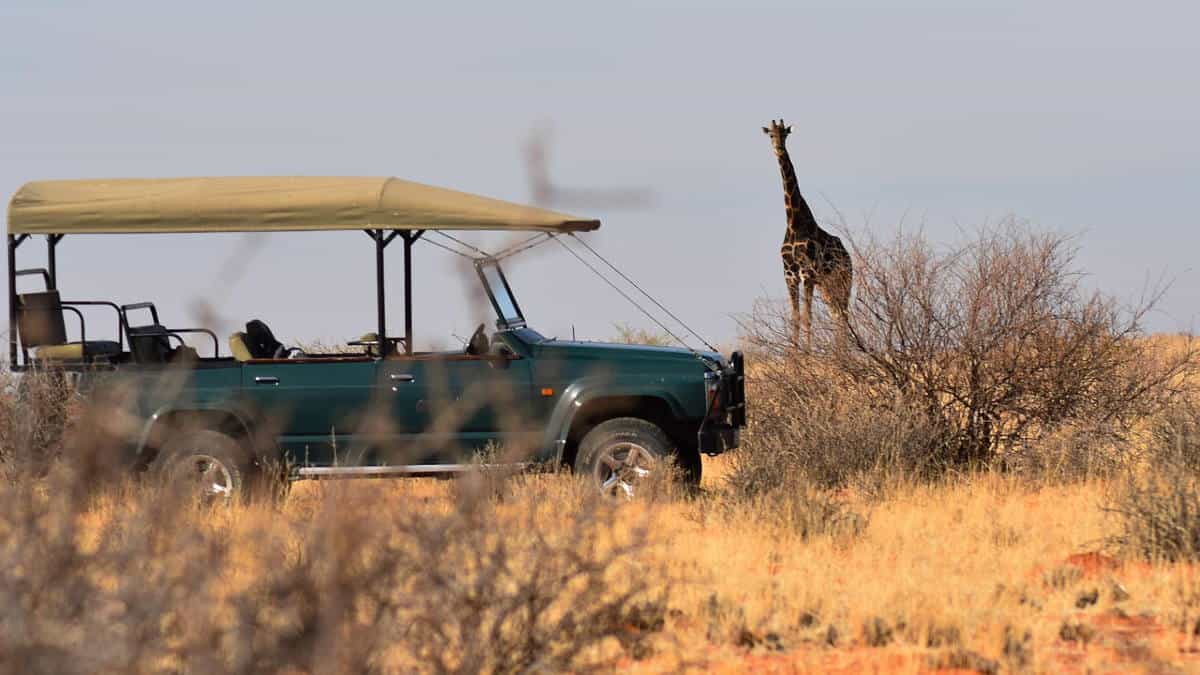 Full Day Zambezi Safari