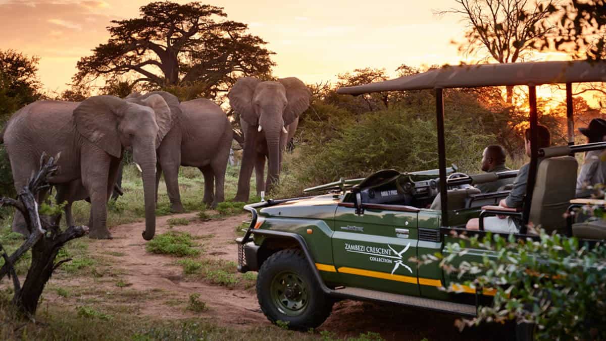 Game Drive